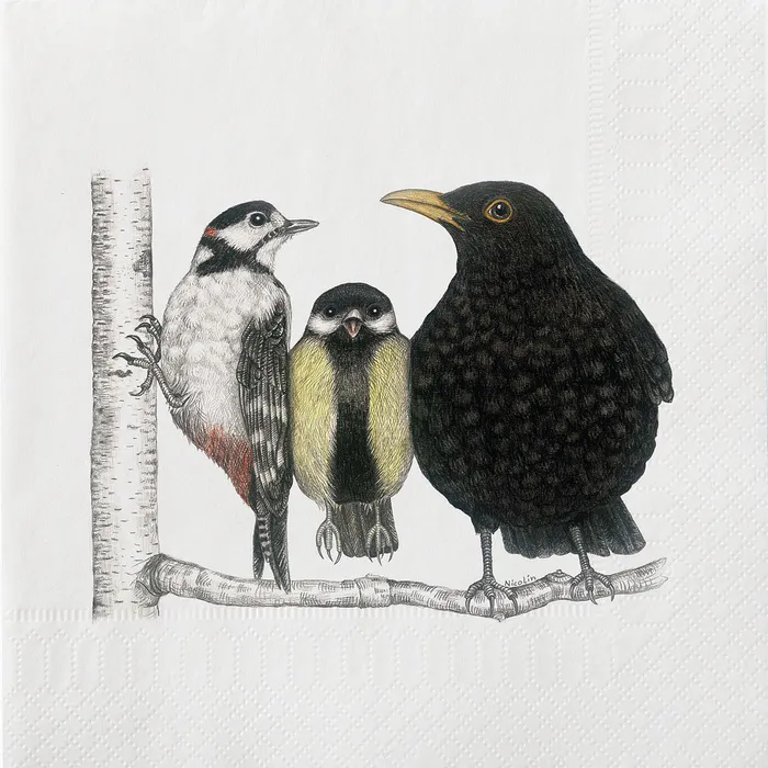 Abbott Earrings Large Bird Conversation Napkins